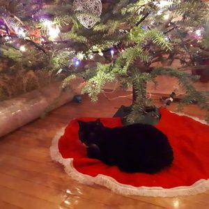 Meet your Posher, Mitch